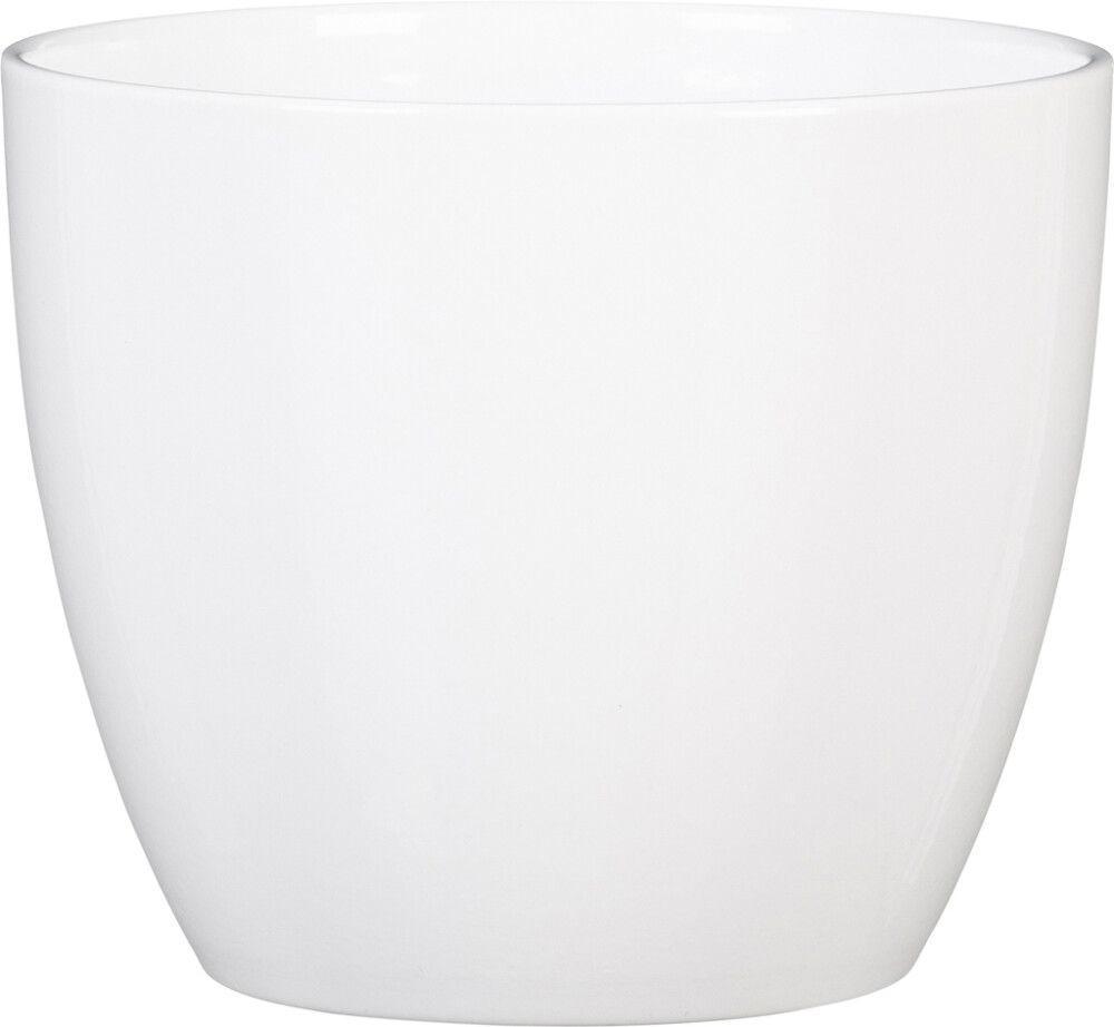 Suojaruukku Soendgen Basel valkoinen 33 cm