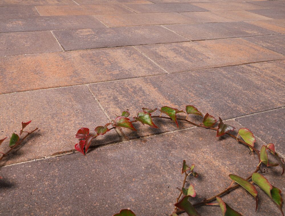 Betonilaatta EHL Bauhaus 50 x 25 x 4 cm Sunset