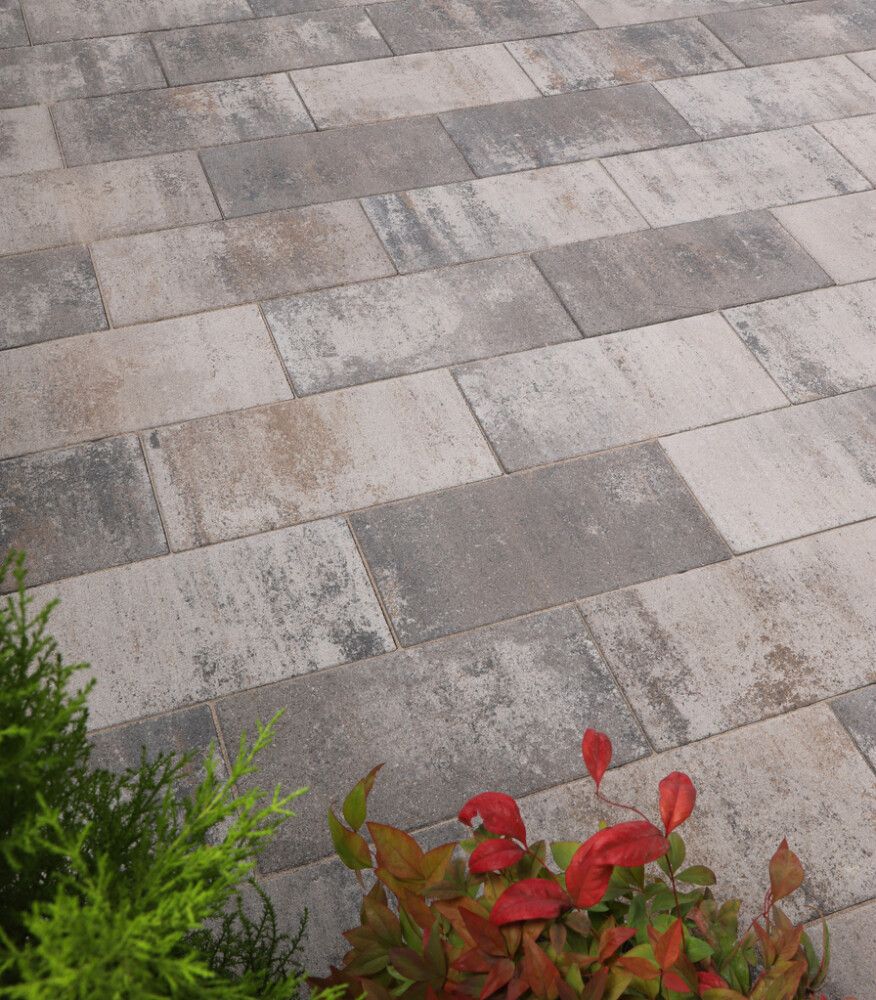 Betonilaatta EHL CEVO kalkkikivi 250 x 500 x 40 mm