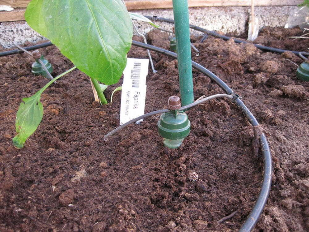 Kastelulaite Blumat Tropf 7 m