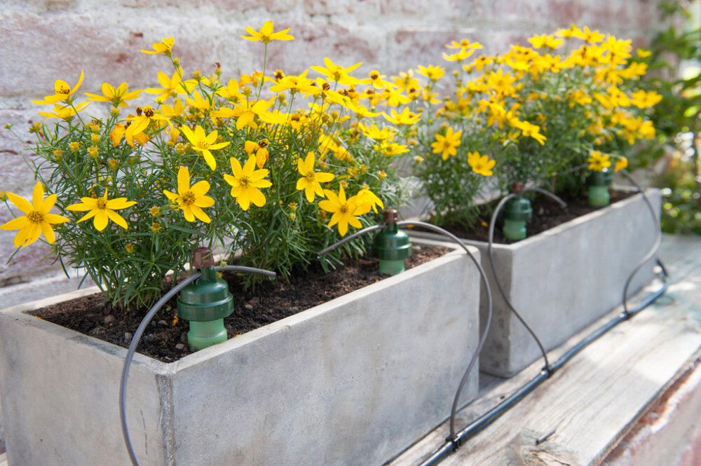 Kastelulaite Blumat Tropf 7 m