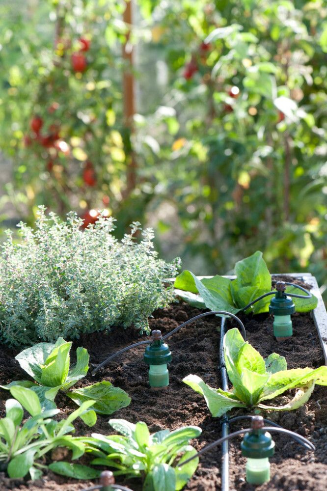 Kastelulaite Blumat Tropf 7 m