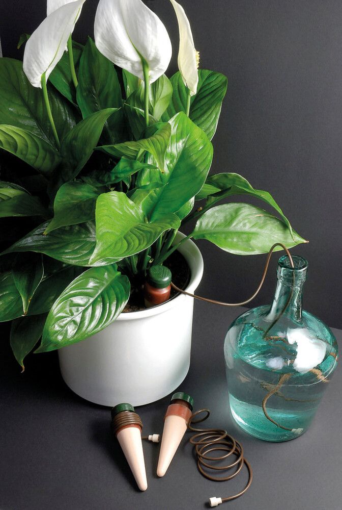 Ruukkukastelija Blumat 3 kpl