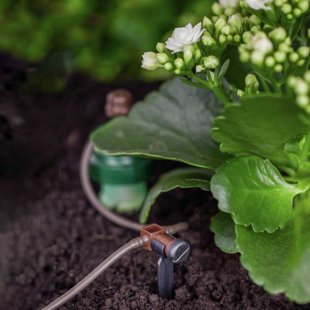 Tippusuuttimet Blumat 10 kpl ja letku 2 m