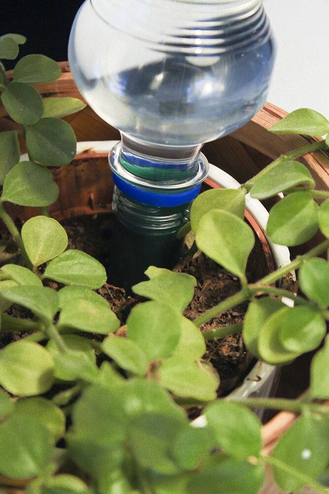 Ruukkukastelija Blumat muovipulloihin 3 kpl