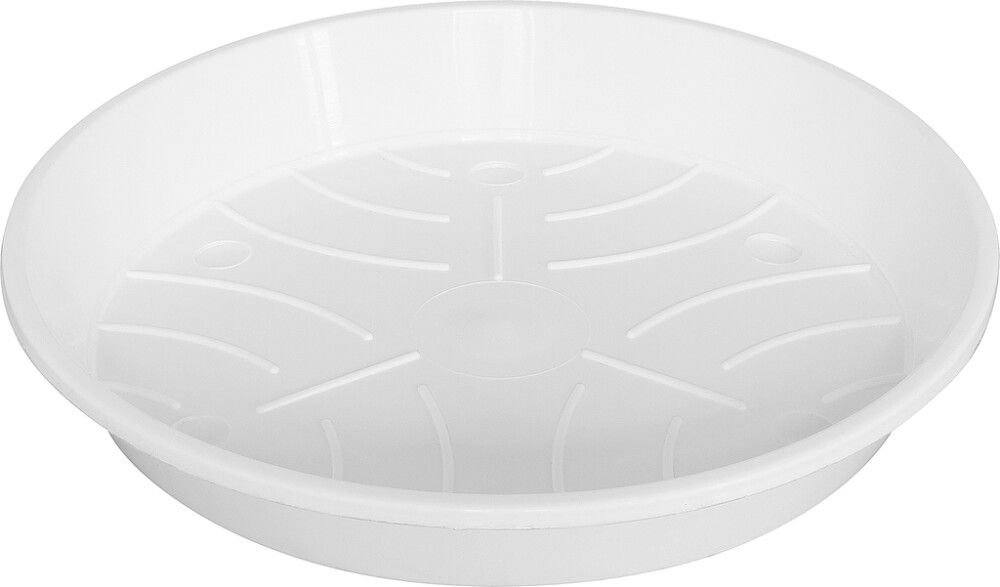 Aluslautanen Standard valkoinen 24 cm