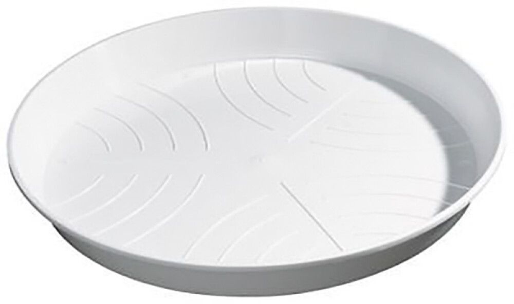 Aluslautanen Standard valkoinen 24 cm