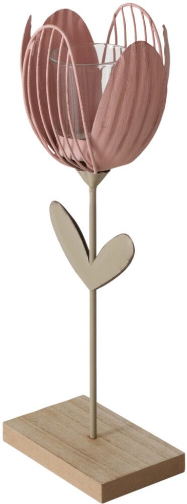 Kynttilänjalka tulppaani lajitelma