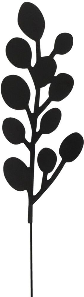 Koristeoksa eucalyptus 40 cm musta lajitelma