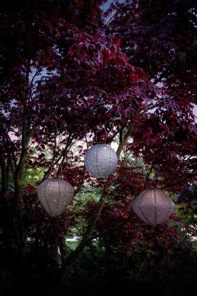 Solar lyhty Eglo liila Ø 29 x 25 cm