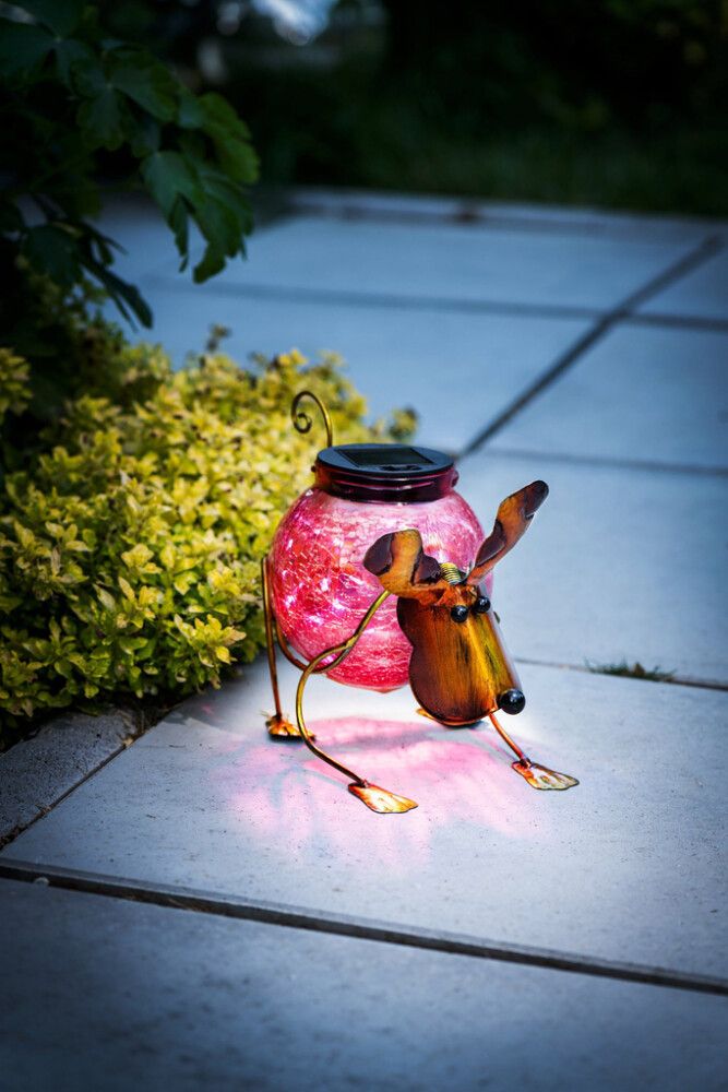 Solar koira Eglo 26 x 14,5 cm