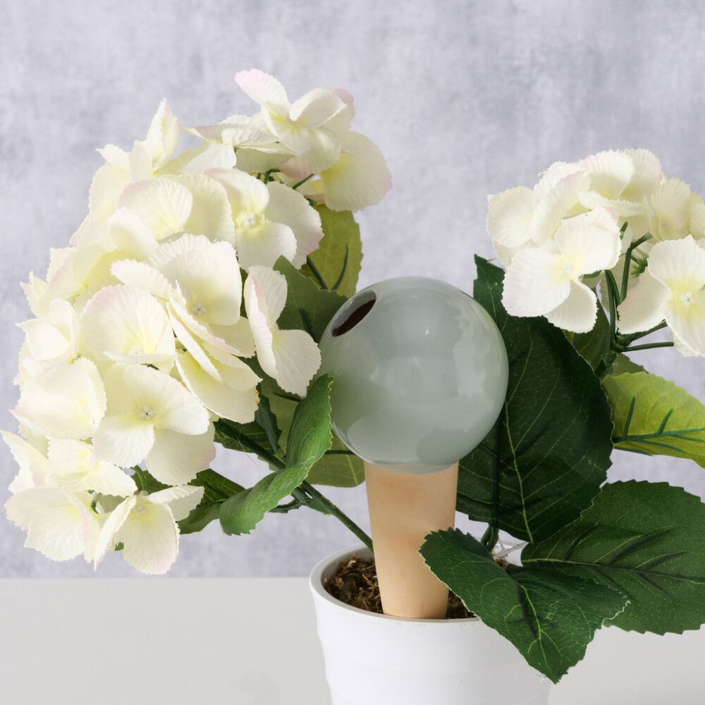 Lomakastelija pallo lajitelma