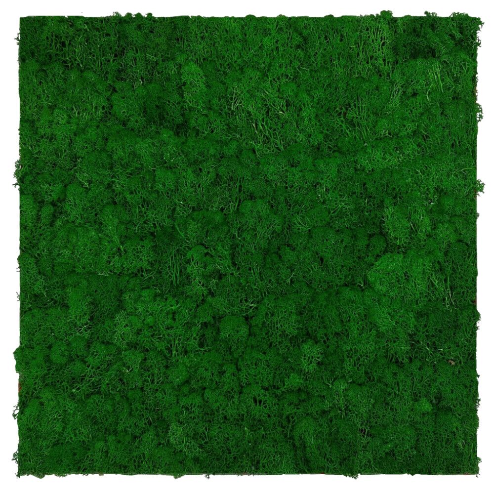 Seinäpaneeli Jangal Moss Nature Green 52 x 52 cm