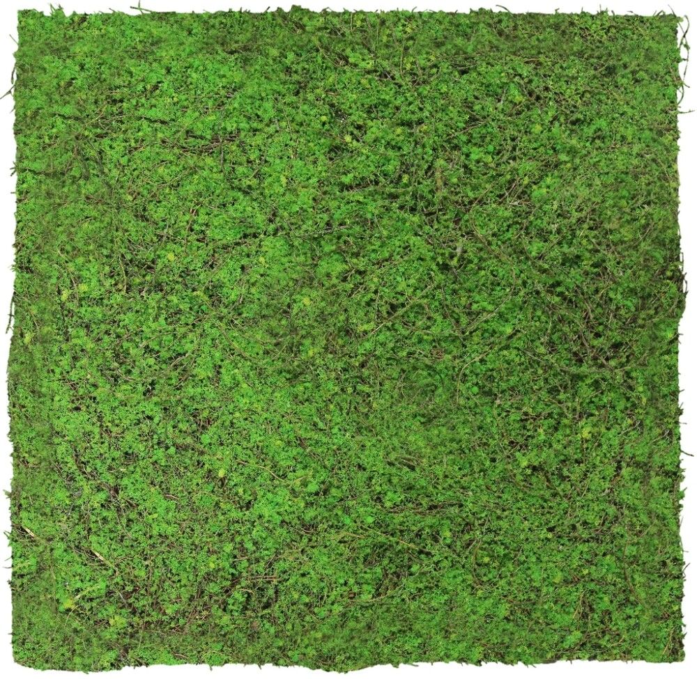 Seinäpaneeli Jangal Forest Green Ancient Tree 52 x 52 cm