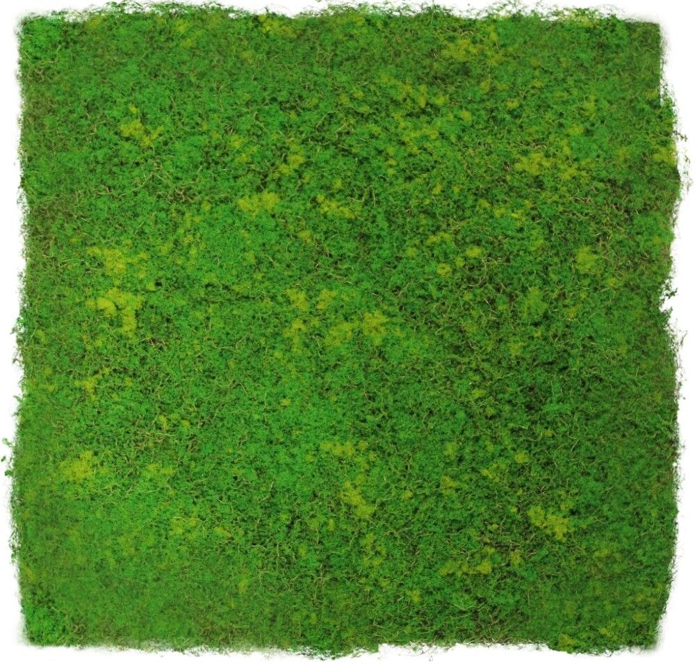 Seinäpaneeli Jangal Light Green Design 52 x 52 cm