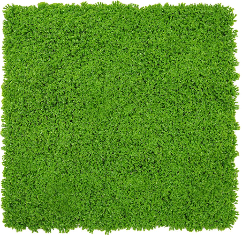 Seinäpaneeli Jangal Lime Green 52 x 52 cm