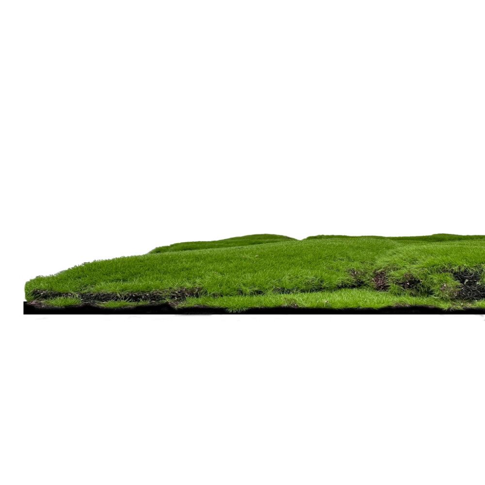 Pikkukuva 2