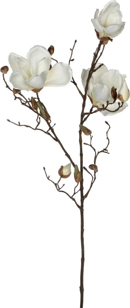 Koristeoksa Magnolia 88 cm valkoinen