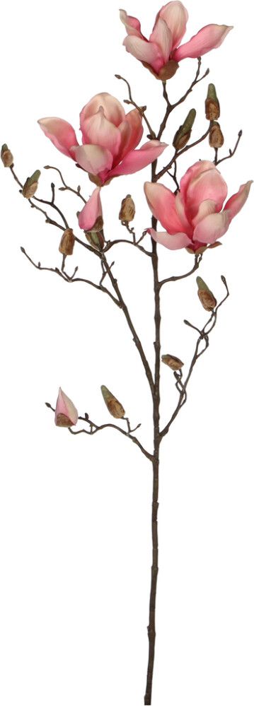 Koristeoksa Magnolia 88 cm pinkki
