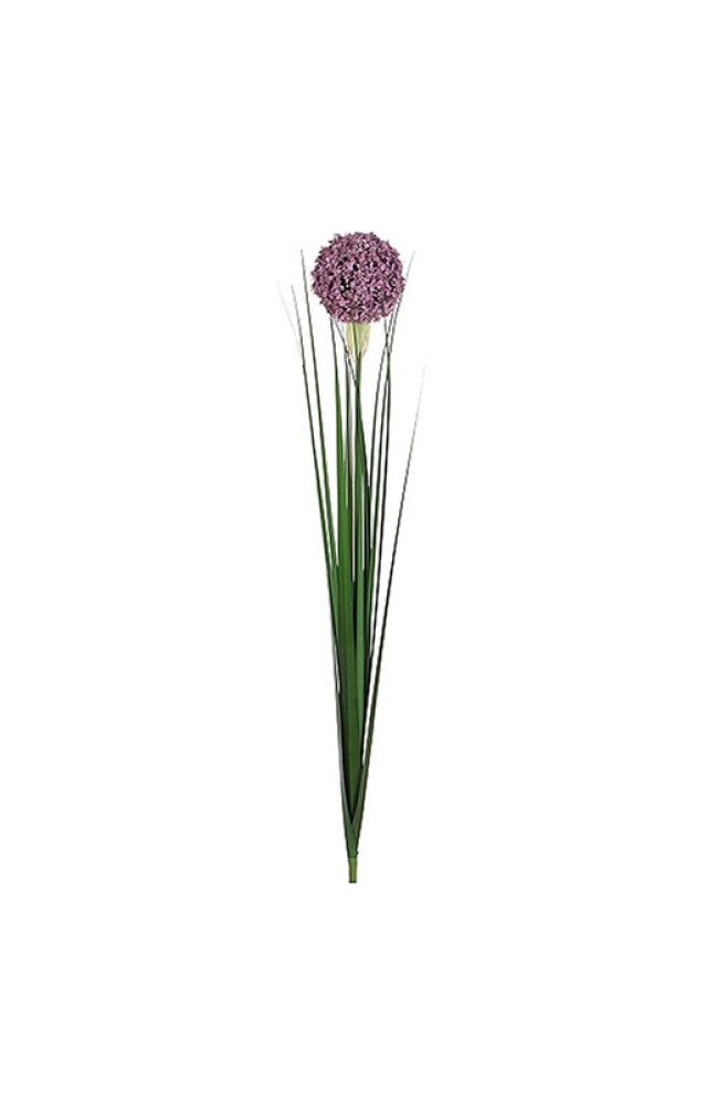 Silkkikasvi Allium oksa 80 cm lila