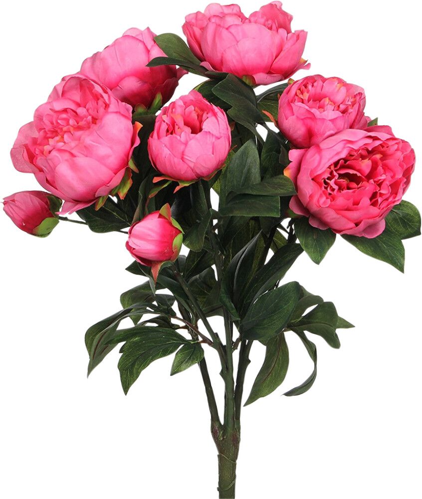 Silkkikasvi pionikimppu 55 cm pinkki