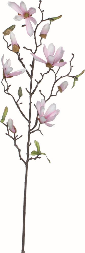 Koristeoksa Magnolia pinkki 75 cm