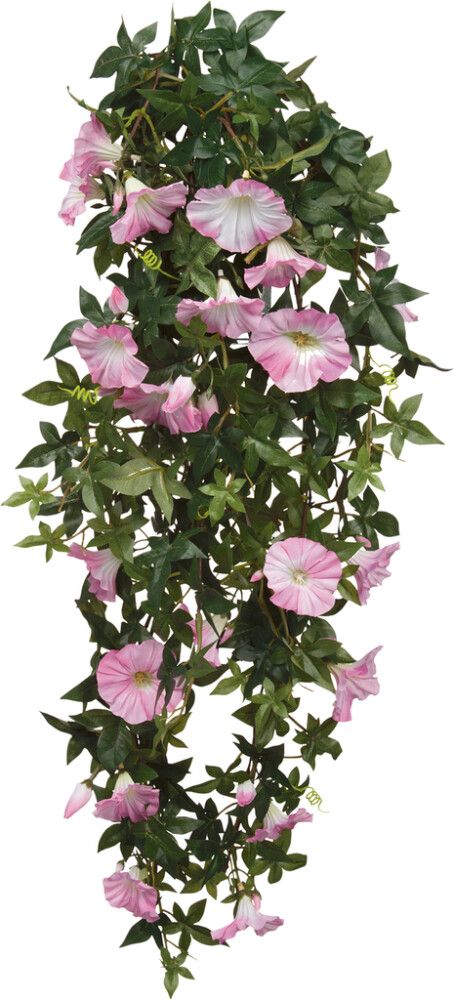 Silkkikasvi petunia riippuva 80 cm