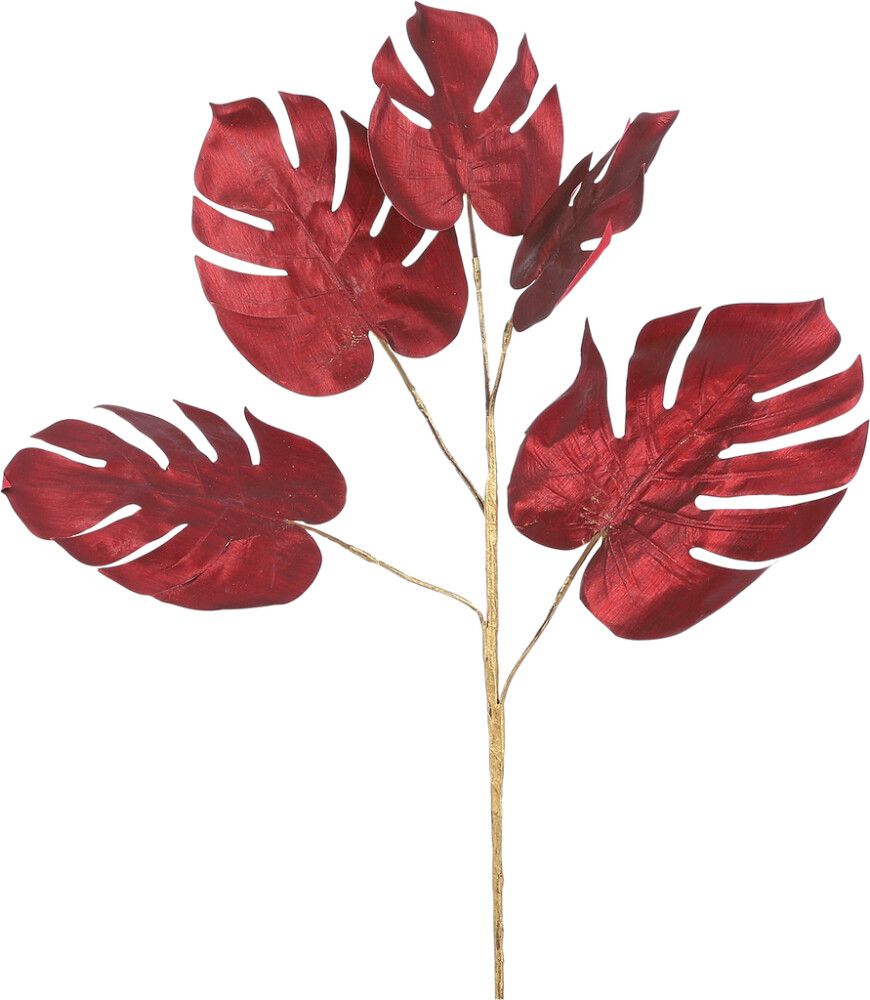 Silkkikasvi Peikonlehti 77 cm punainen