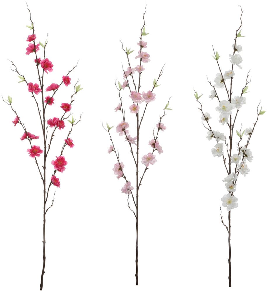 Koristeoksa kirsikka lajitelma 125 cm