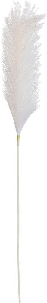 Silkkikasvi Sokeriruoko valkoinen 104 cm