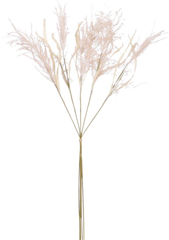 Silkkikasvi Heinä beige 76 cm