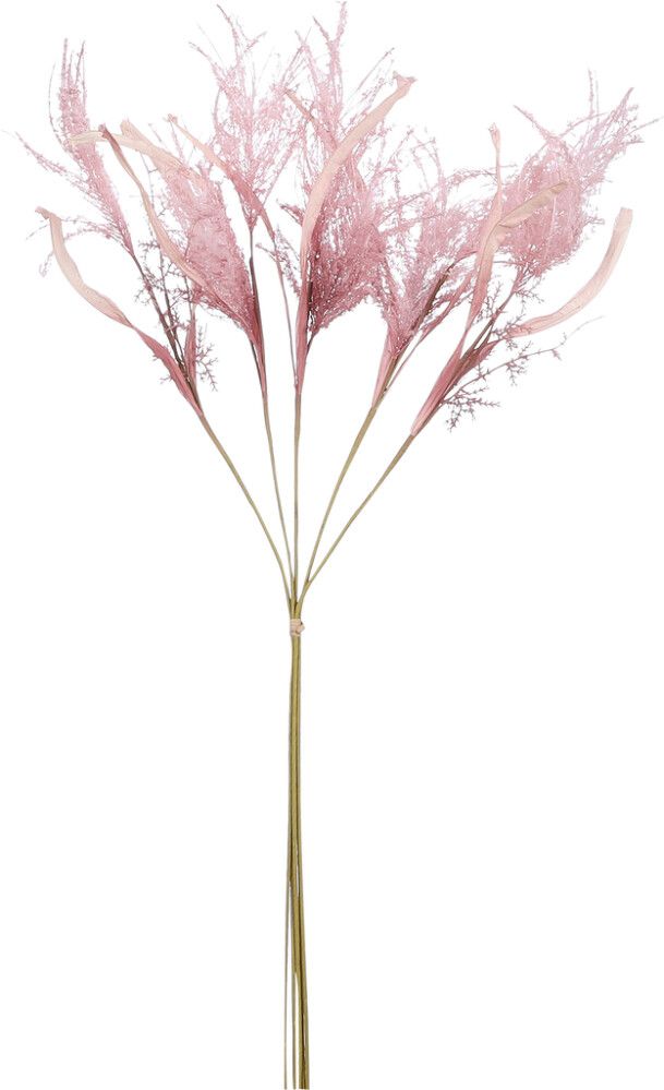 Silkkikasvi Heinä pinkki 76 cm