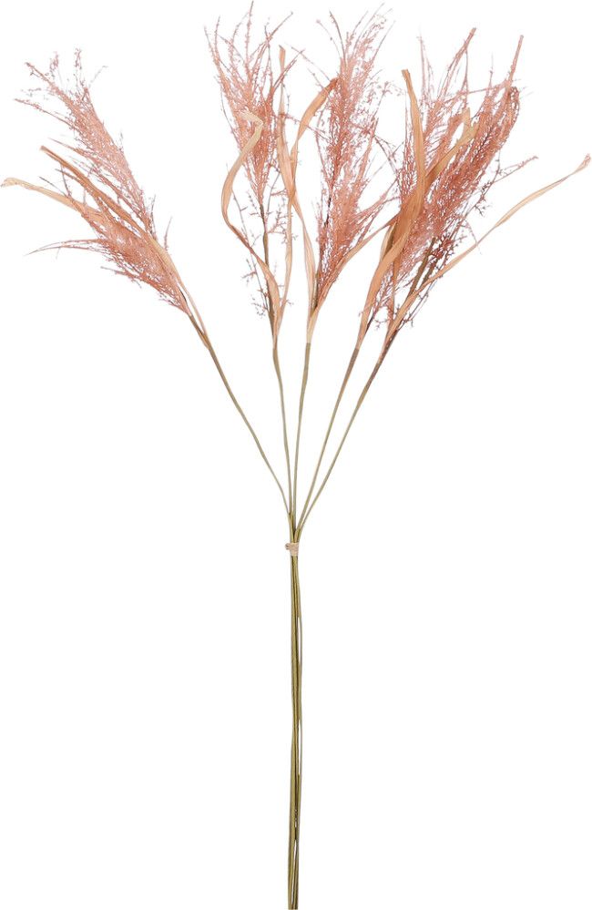 Silkkikasvi Heinä ruskea 76 cm