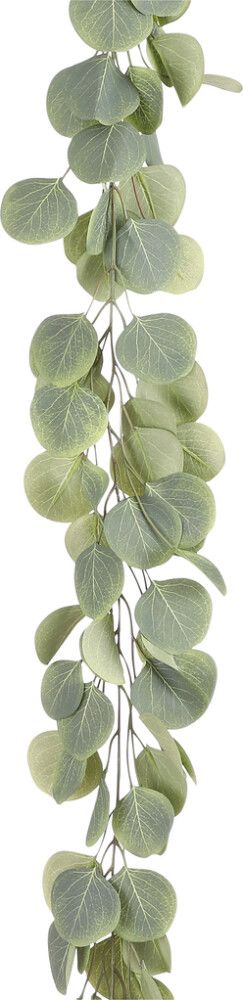 Silkkikasvi Eucalyptus köynnös vihreä 180 cm
