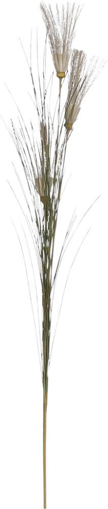 Silkkikasvi Papyrus ruskea 62 cm