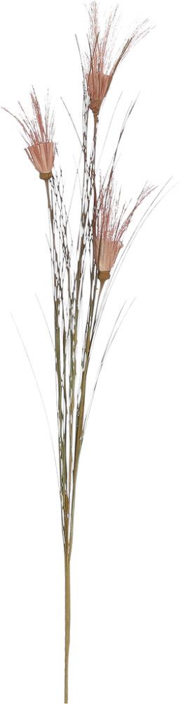 Silkkikasvi Papyrus punainen 62 cm