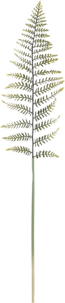 Silkkikasvi Saniaisen lehti 78 cm