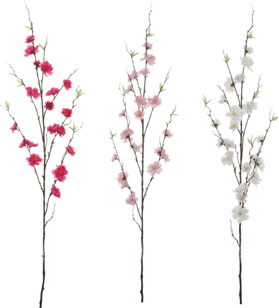 Koristeoksa kirsikka 125 cm