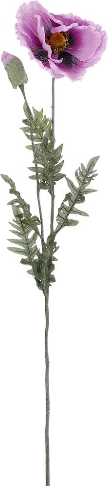 Silkkikasvi unikko violetti 115 cm