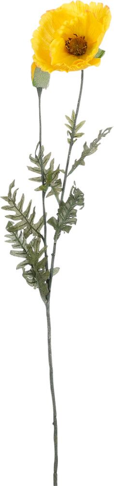 Silkkikasvi unikko keltainen 115 cm