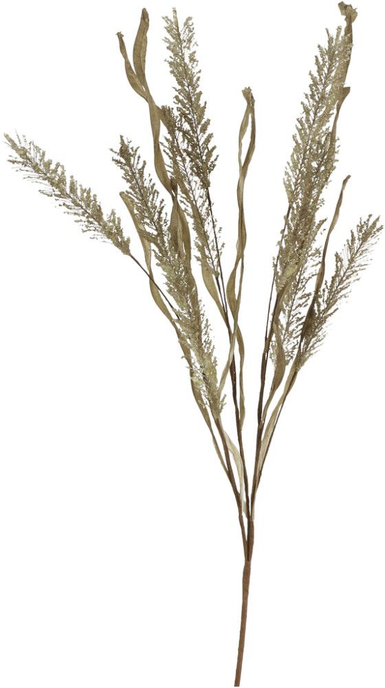 Koristeoksa Erica 60 cm