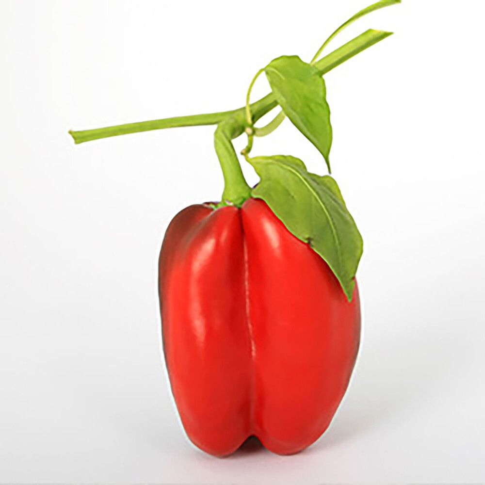 Pikkukuva 2