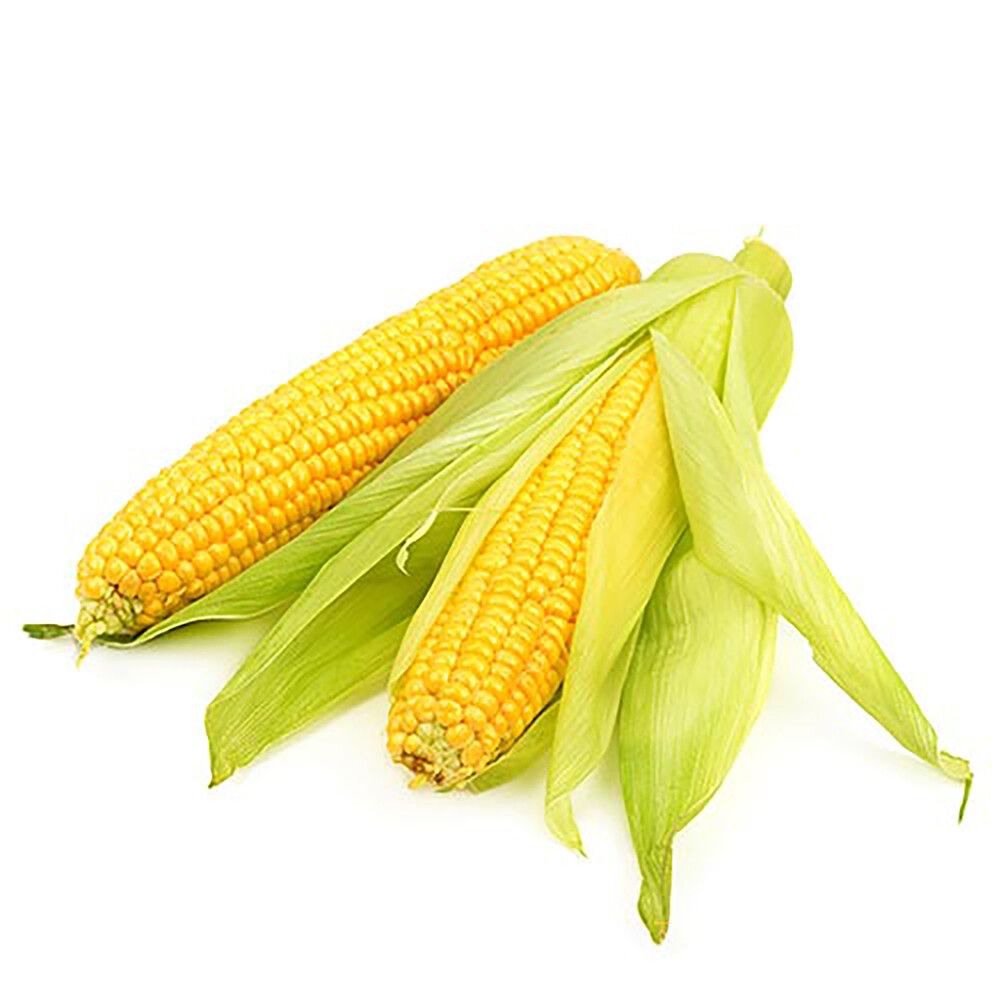 Pikkukuva 2