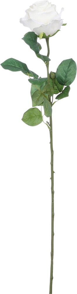 Koristeoksa Ruusu valkoinen 69 cm