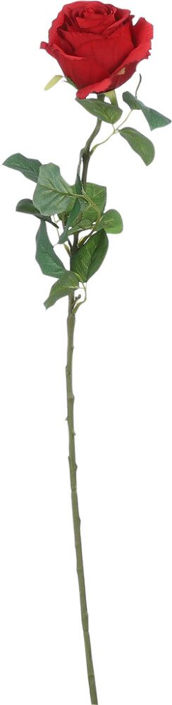 Koristeoksa Ruusu punainen 69 cm