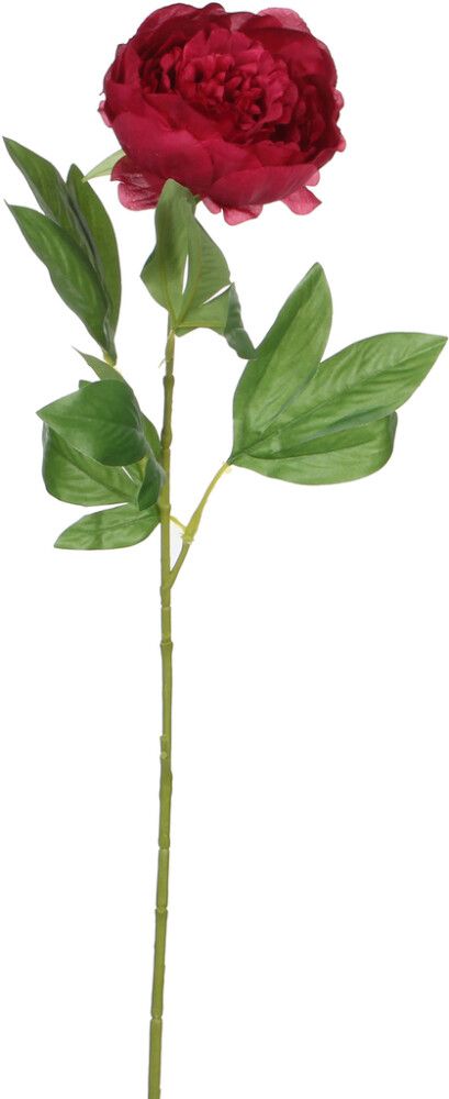 Koristeoksa Pioni punainen 76 cm