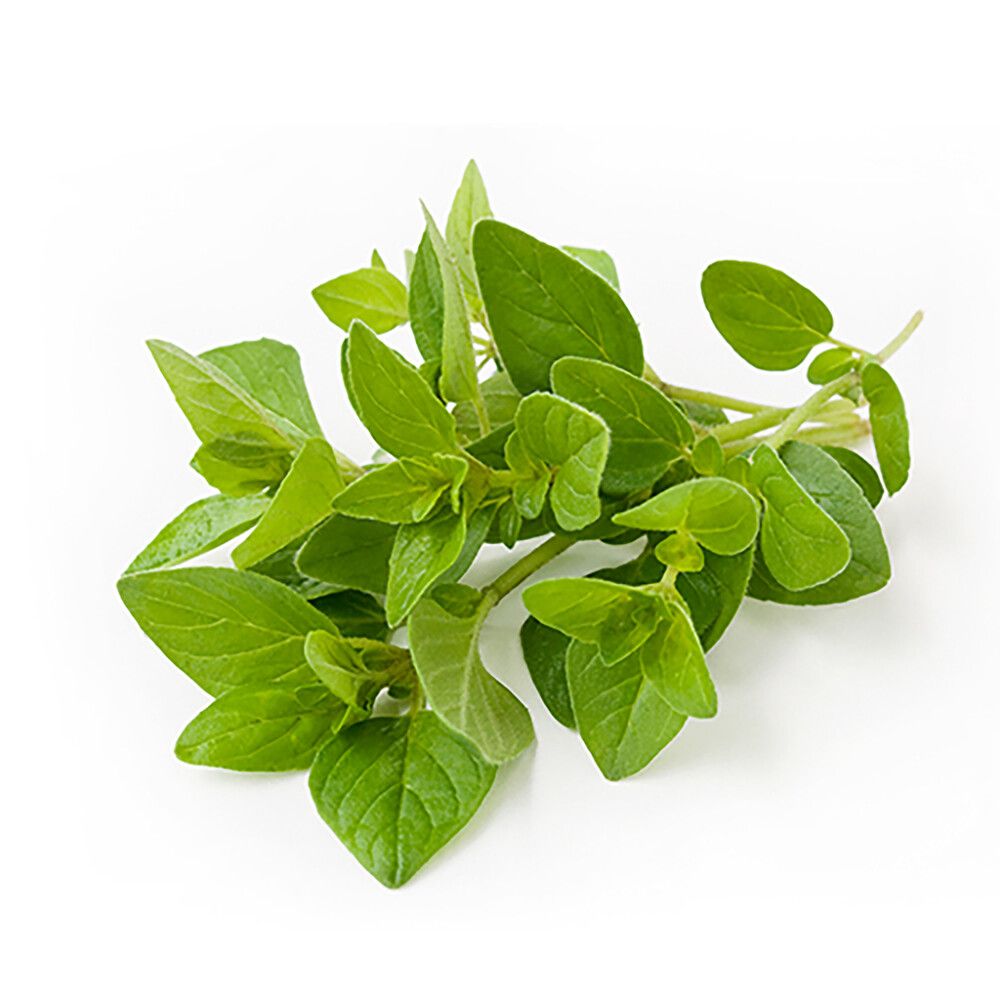 Oregano Kotimainen Ø 9 cm