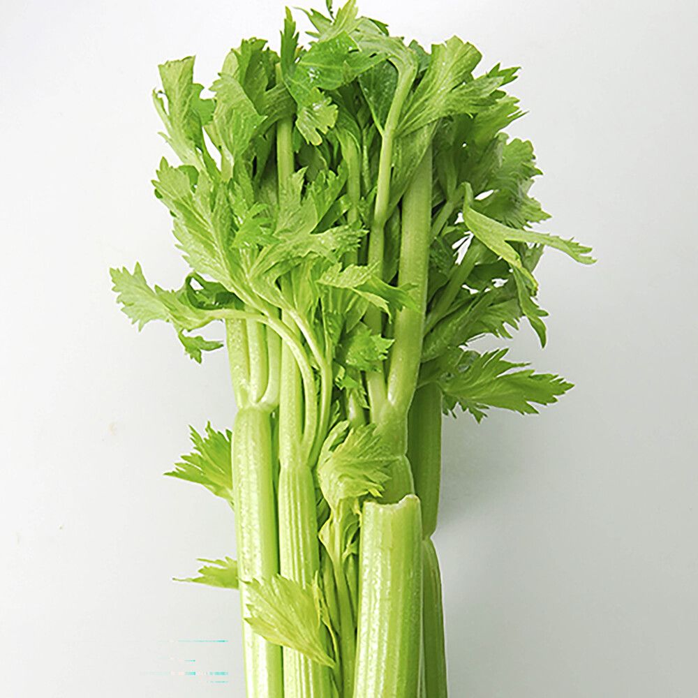 Varsiselleri Kotimainen Ø 9 cm