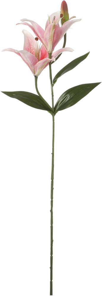 Koristeoksa Tiikerinlilja 65 cm vaaleanpunainen