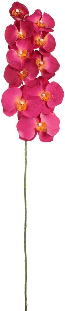 Koristeoksa Perhoskämmekkä 91 cm fuksia